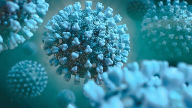 Coronavirus Impact On Businesses And The Support Available